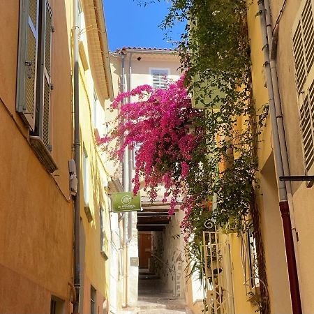 Appartement Palmiers, Coeur De Ville Sur Le Parcours Des Arts Hyères Eksteriør billede